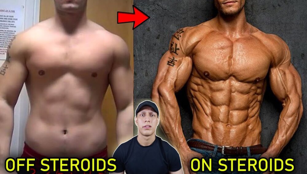 steroids for body building